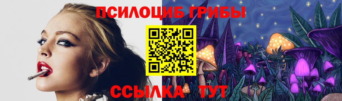 Алексин  Галлюциногенные грибы MAGIC MUSHROOMS  закладки  Вход с VPN  Псилоцибиновые грибы Psilocybine cubensis 